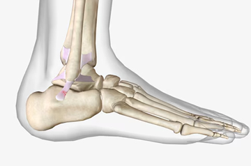 acl-treatment-in-jaipur