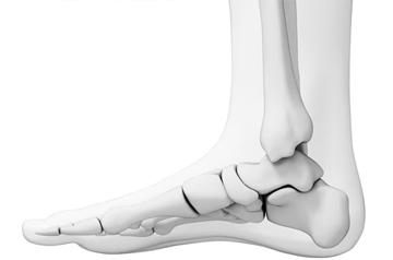 acl-treatment-in-jaipur