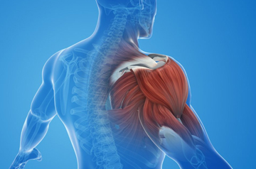 frozen-shoulder-treatment-in-sikar