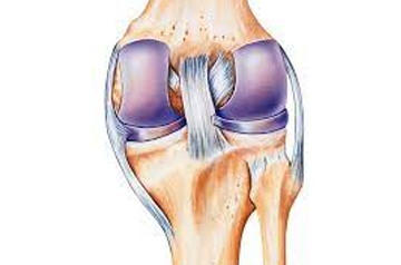knee-ligament-repair-in-sikar