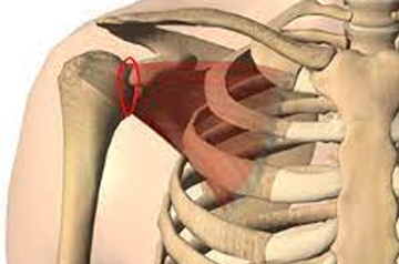 leg and foot injury treatment in ajmer