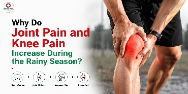 Knee Pain