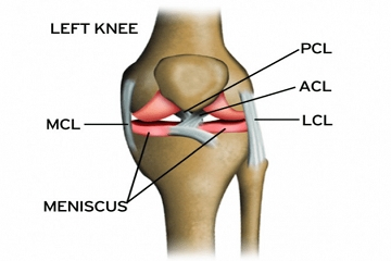 Knee Ligament Repair Jamshedpur
