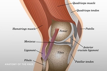 Knee Ligament Repair Kenya